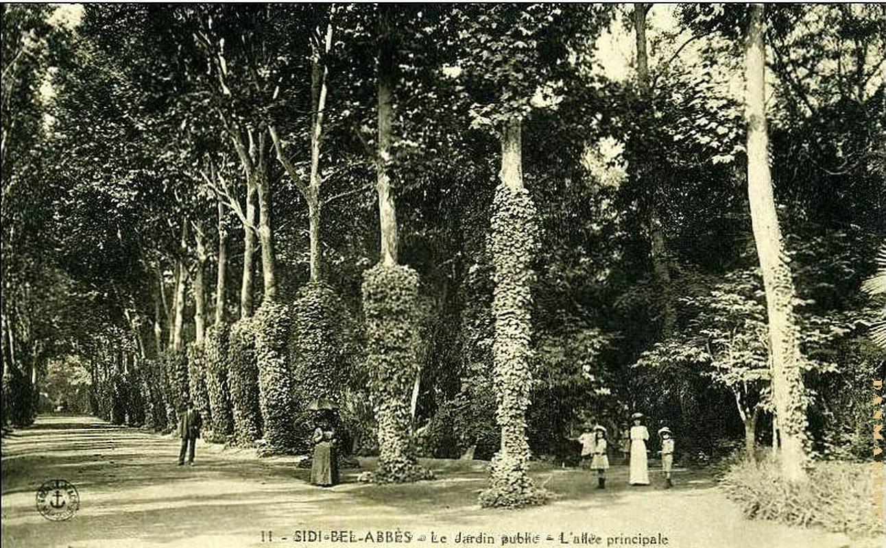 Sidi bel abbes 148.jpg